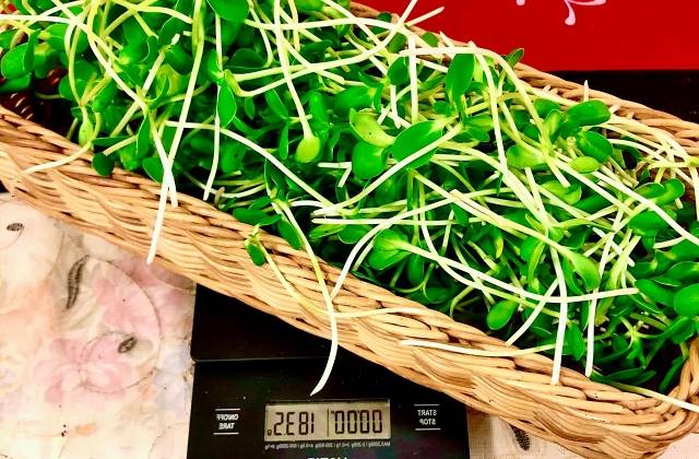 Which is Healthier Sprouts or Microgreens?